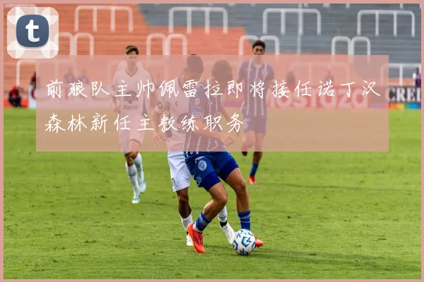 前狼队主帅佩雷拉即将接任诺丁汉森林新任主教练职务